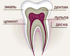Эмаль зуба и трещины